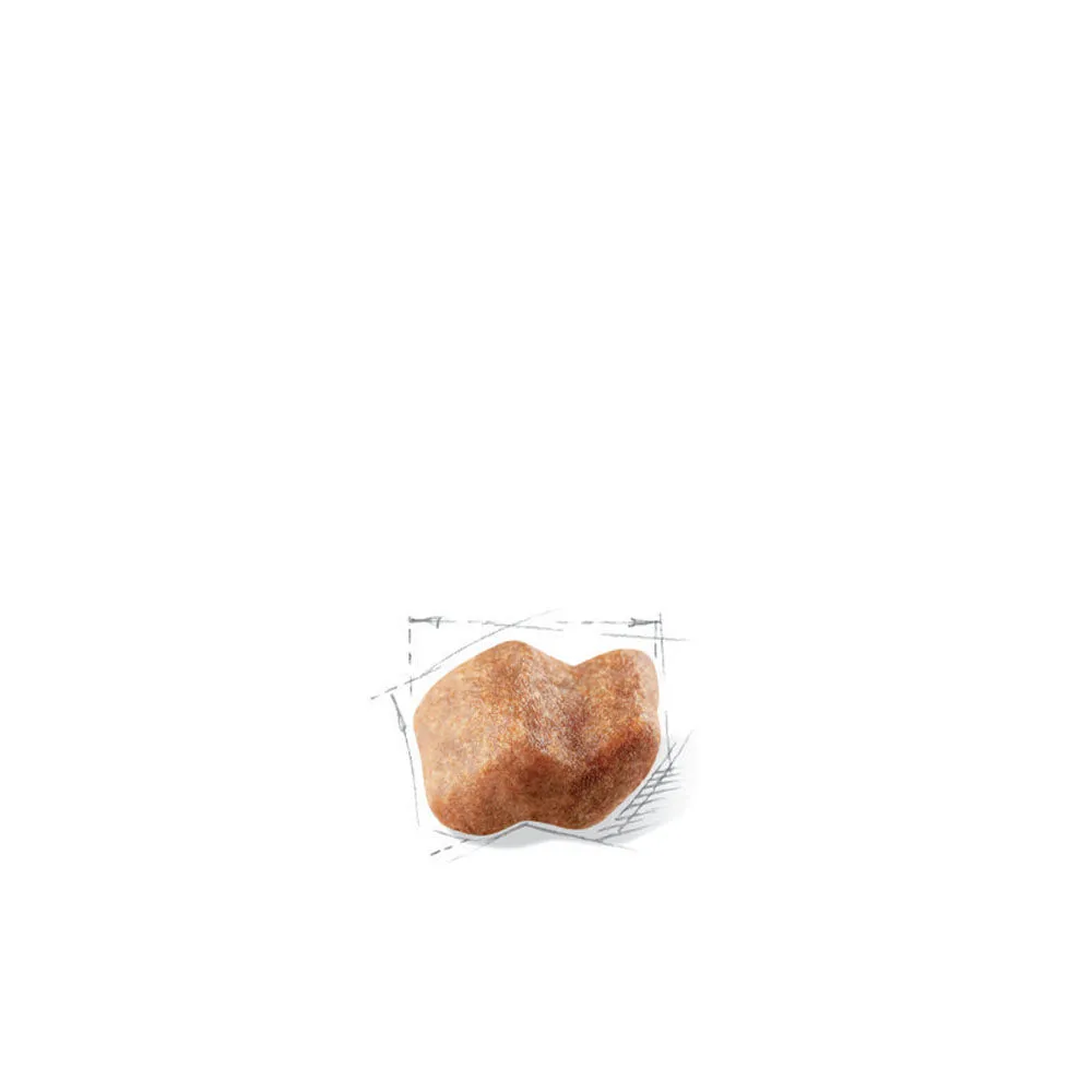 Boxer Puppy Dry Dog Food