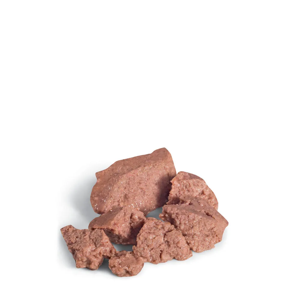 Dachshund Wet Dog Food