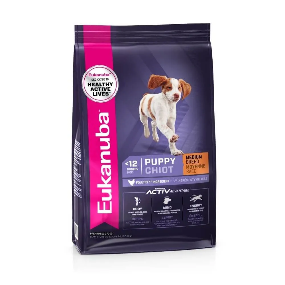 Dog Medium Breed Puppy (1   year)